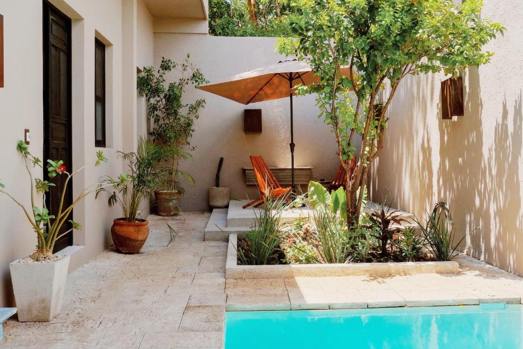 Casa Lirios - Luxury Colonial Villa in Mérida Centro with Pool - 4