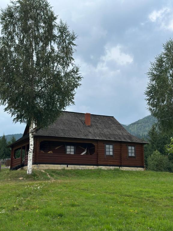 Grazda750, Verchovyna