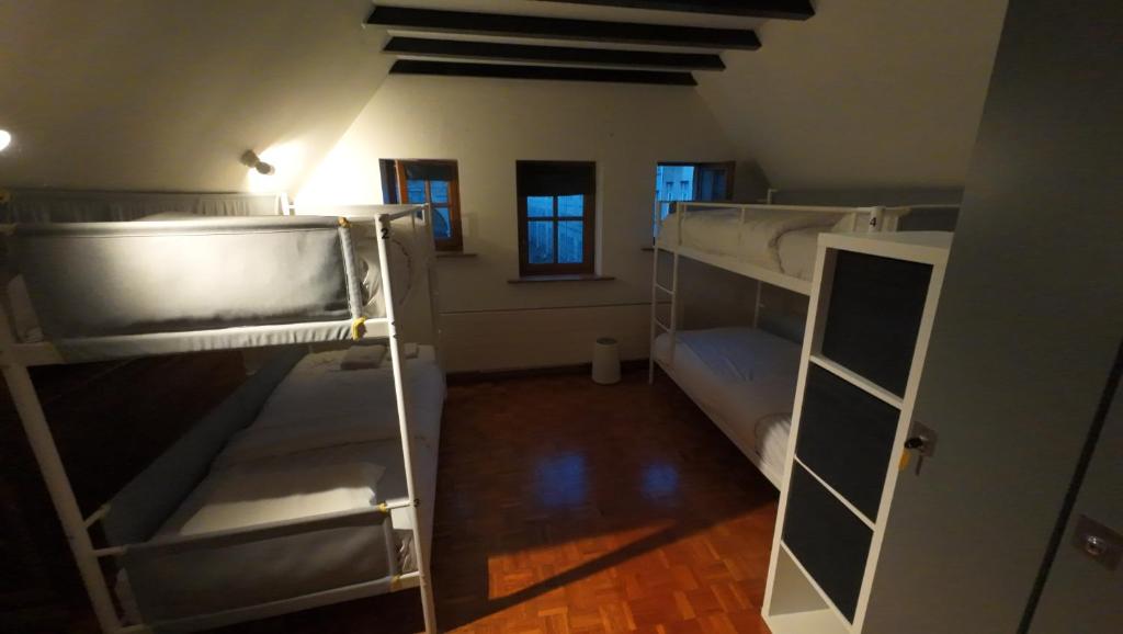 Dolfijn Hostel 9