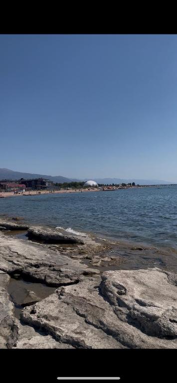 Кыргызское ВЗМОРЬЕ, Bosteri