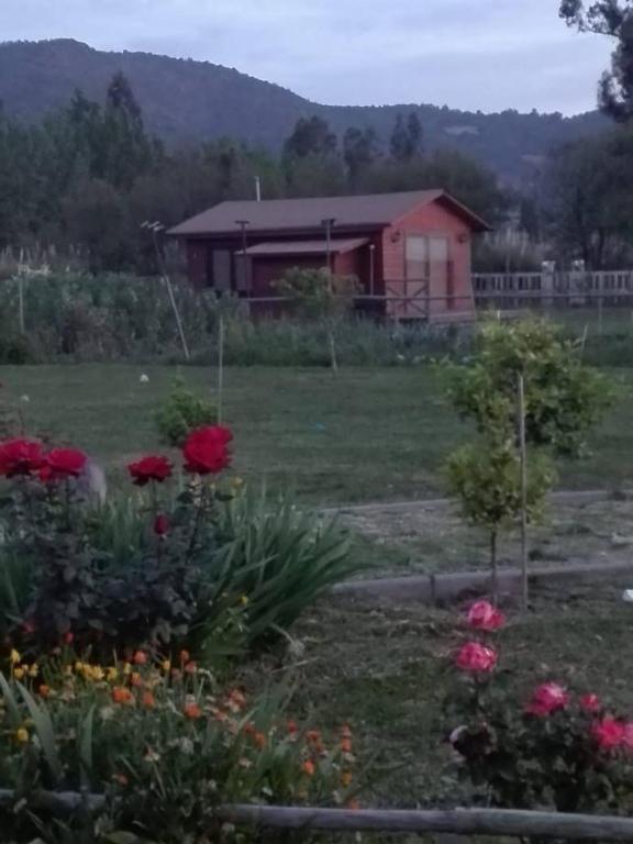 Cabaña Amor - 2