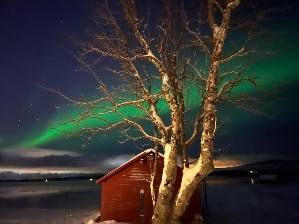 Charming place in Tromsø by the sea., Håkøybotn