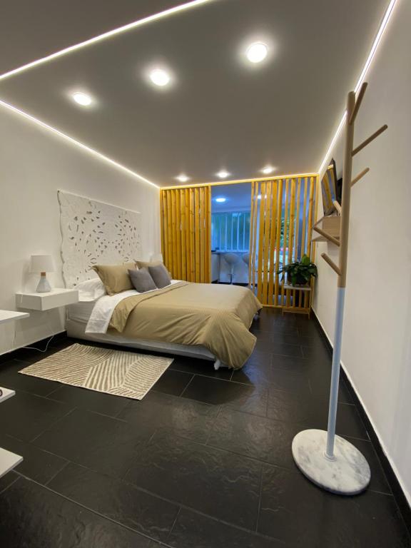 313Apartaestudio del cedro - 3