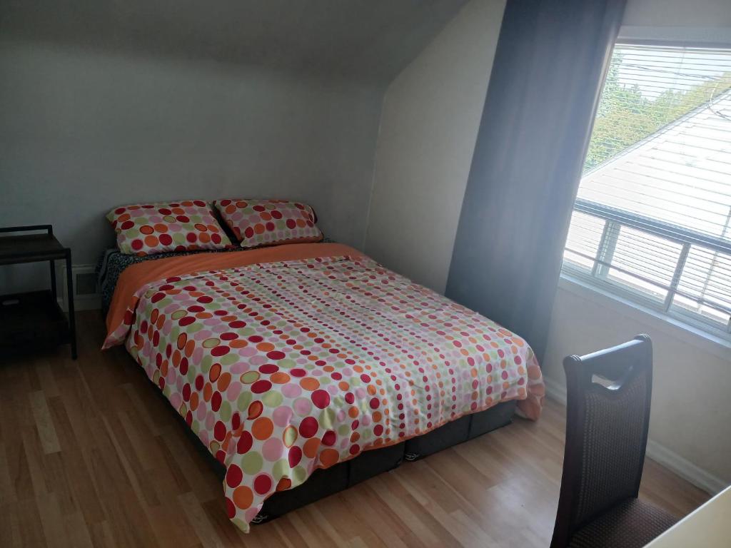 Happy Traveller 8, Toronto