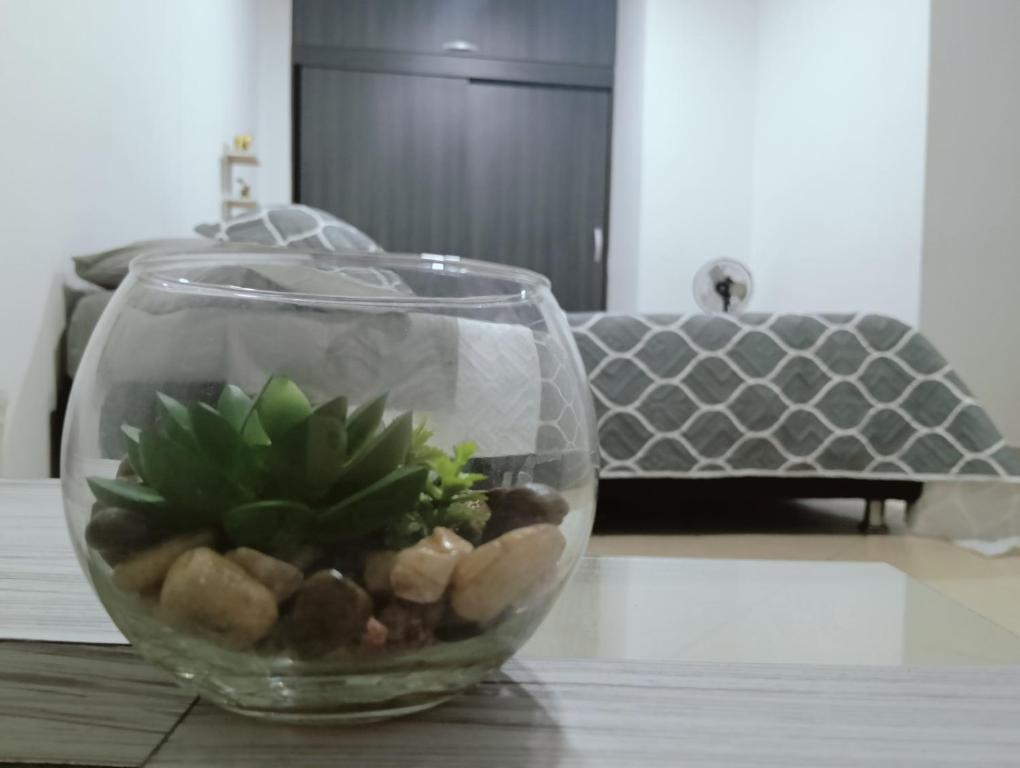 Hospedaje samfer - 1