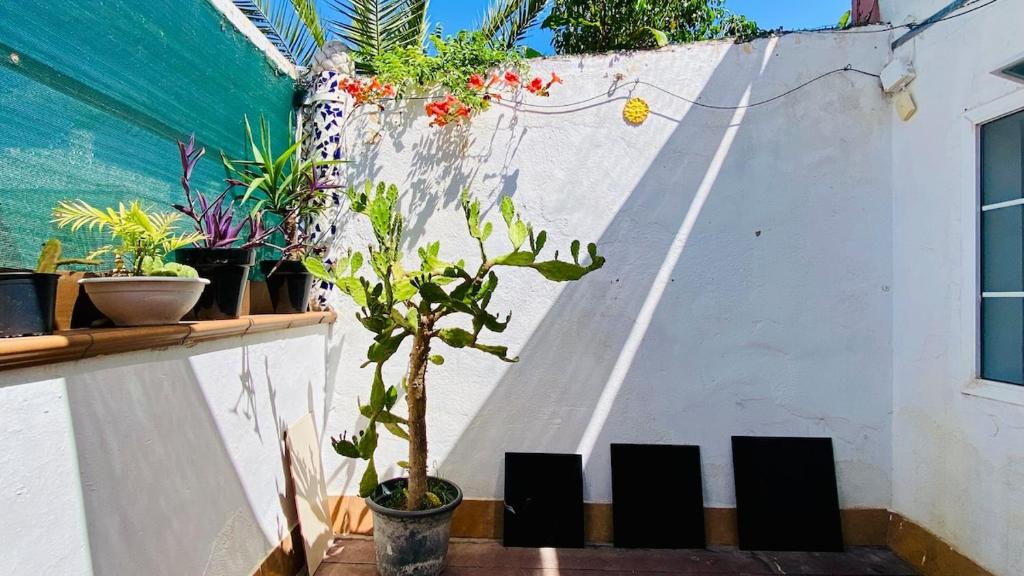 Casa León, Tarragona