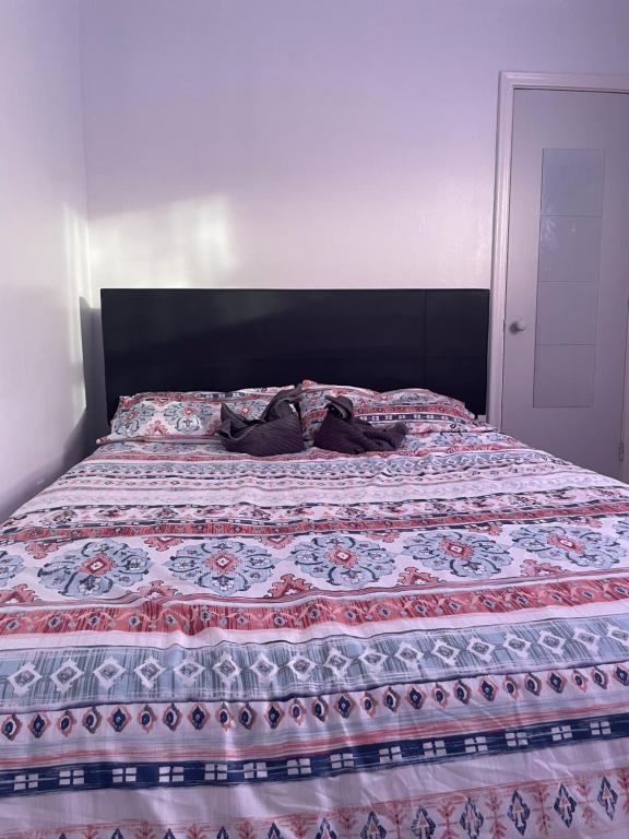 The Basics - Private Room, Toronto