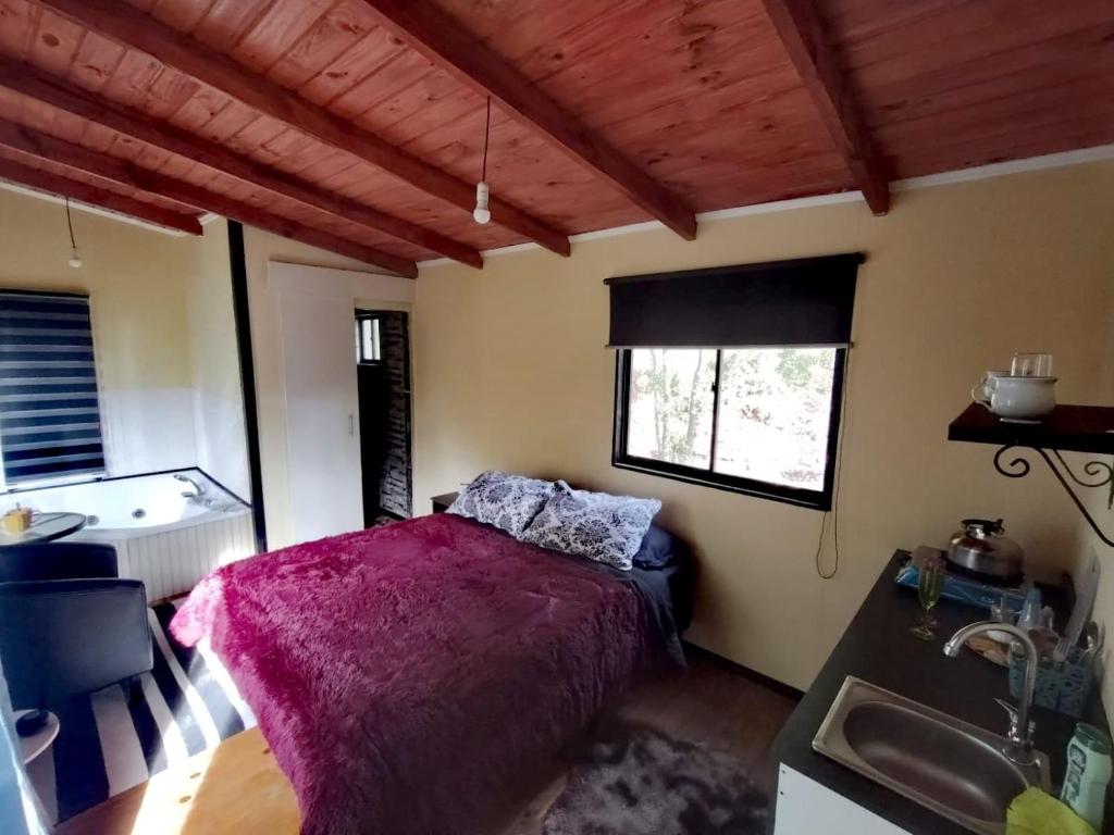 Cabañas Eco Chahuilco - 2