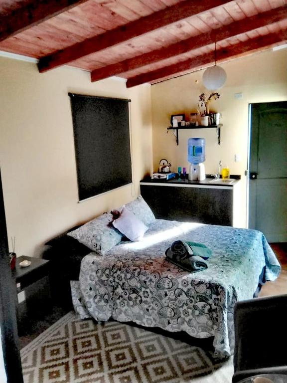 Cabañas Eco Chahuilco - 3