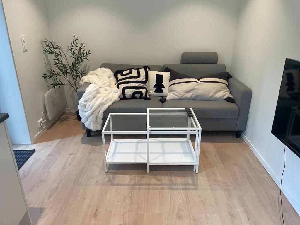 Modern and nice apartment, near the university, UIA, Kristiansand