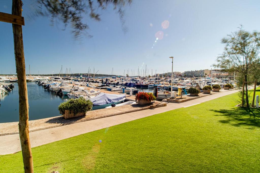 Charmant 2p proche des plages, appartement Céladon - 2