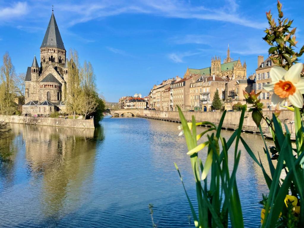 Les Gîtes de l'ile à Metz - 4