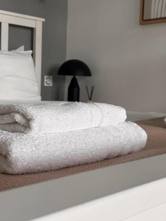 Suite luxueuse Avenue des Champs-Élysées - 3