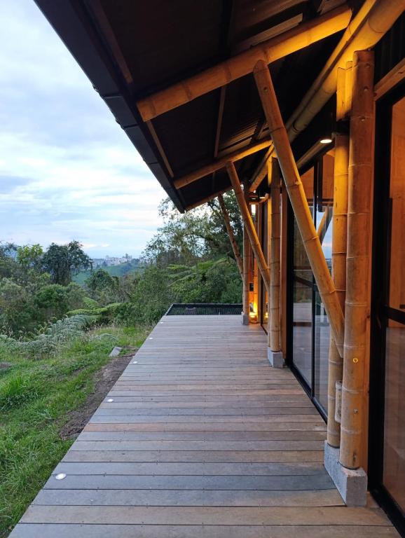 Glamping Bosque de helechos, privacidad y cercanía - 5