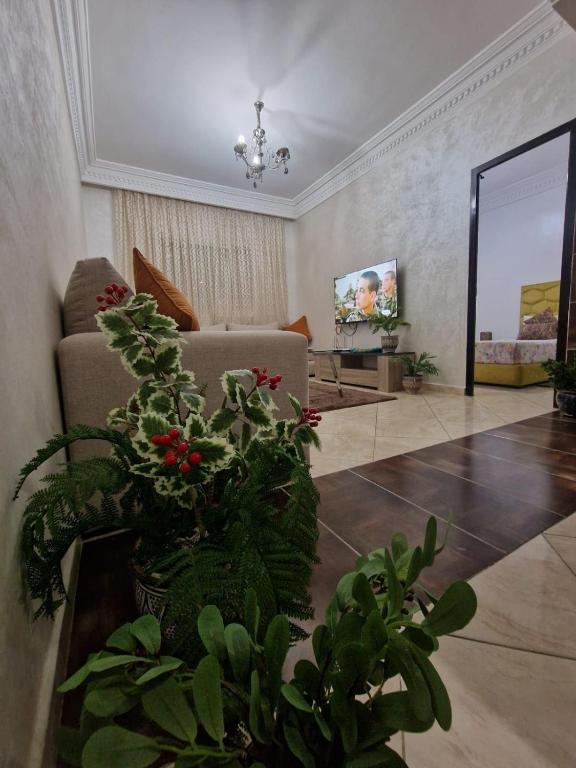 Nature & Calm Stay, As-Sawíra