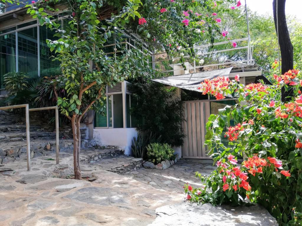 IronHouse Taganga Apartasuite - 4