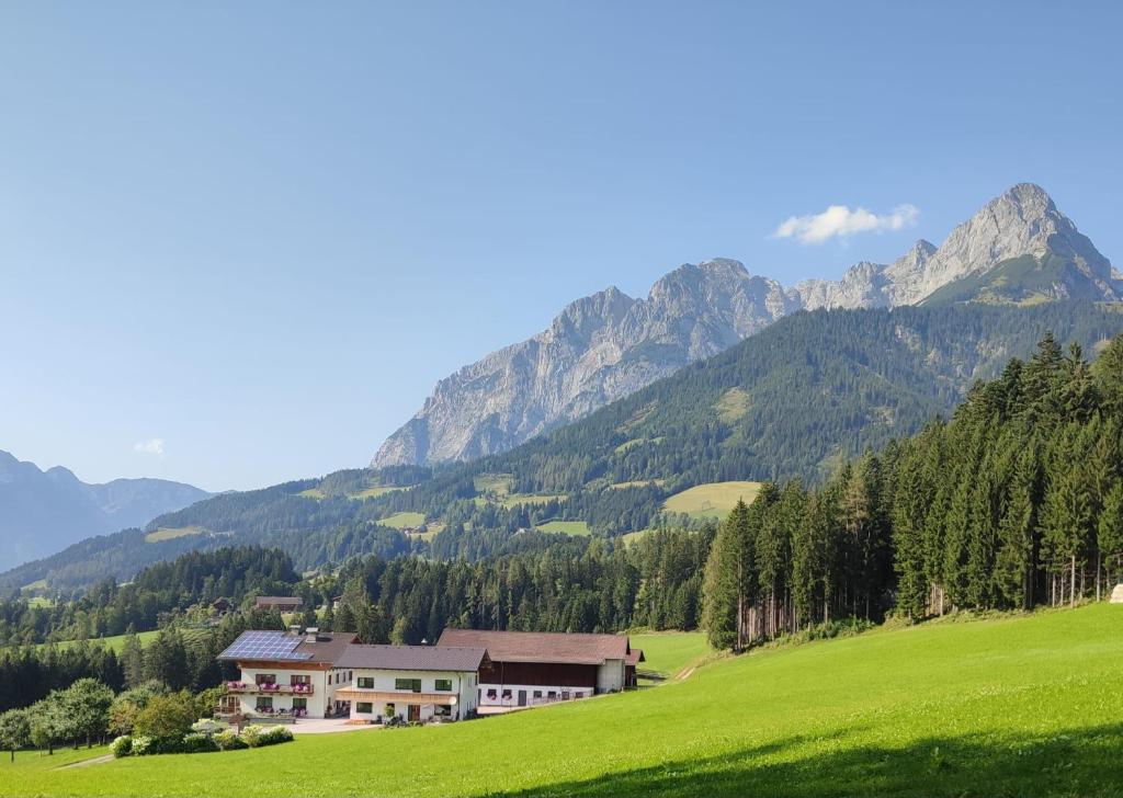 Urlaub auf den Land - Mühlauhof - 1