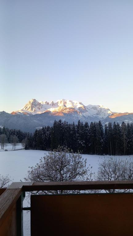 Urlaub auf den Land - Mühlauhof - 2