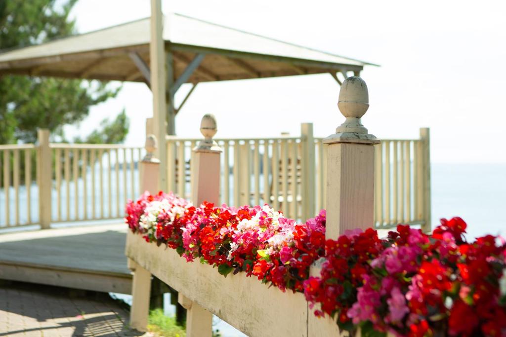 バルコニー/テラス