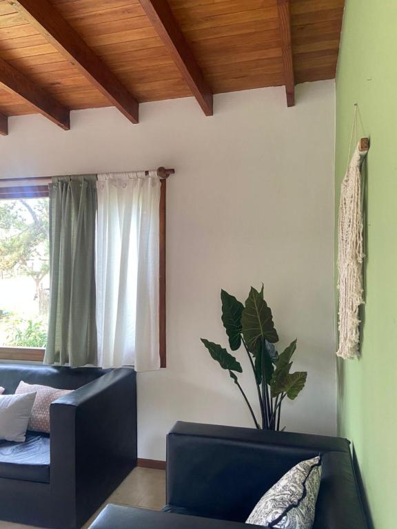 Mirando al Mar I - 5