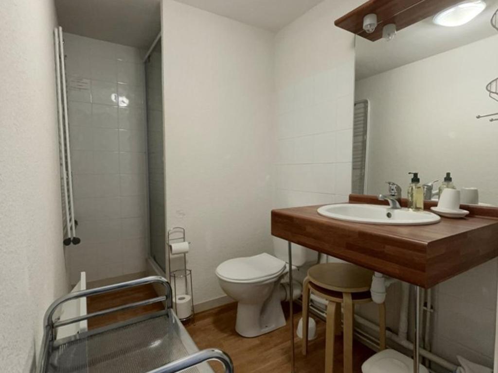 Studio cosy pour 4 proches des pistes aux Carroz d'Arâches - FR-1-572-102 - 2