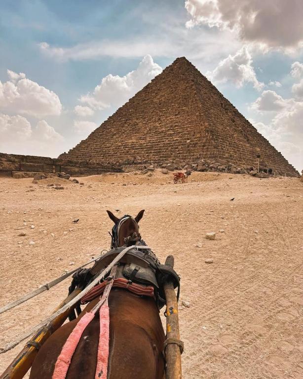 Of Pyramids, Káhira