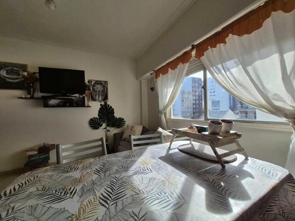 Departamento monoambiente Plaza Mitre - 1