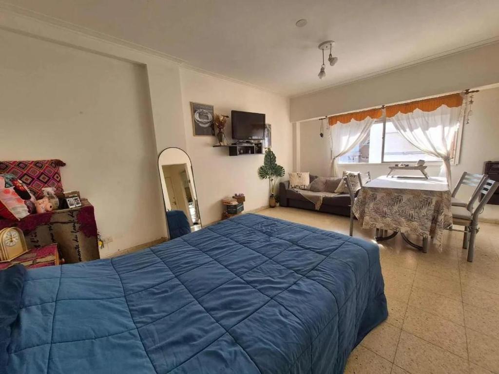 Departamento monoambiente Plaza Mitre - 4