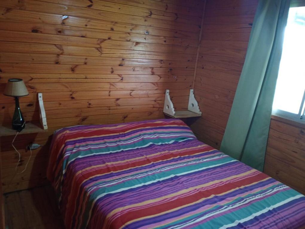 Pachaike - 3