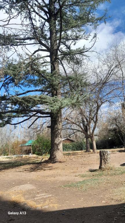 Relajante cabañita rodeada de bodegas - 5