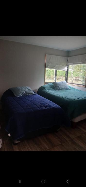 Cabaña en el claro, Pucón