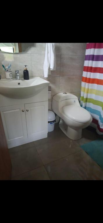 Cabaña en el claro - 3