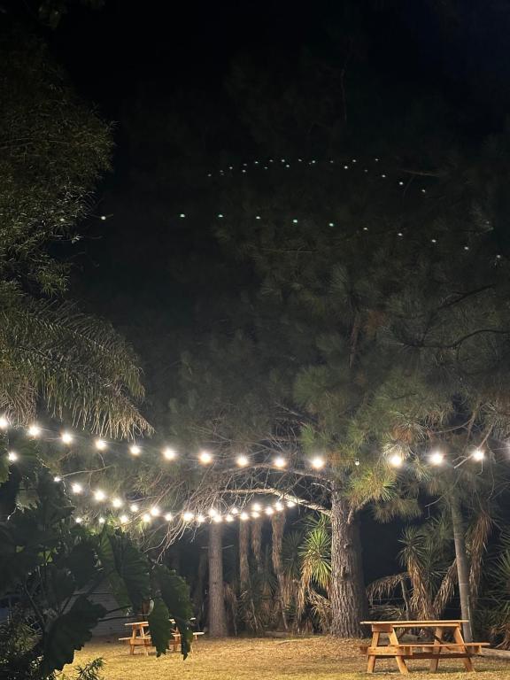 Cabañas campos del río - 3