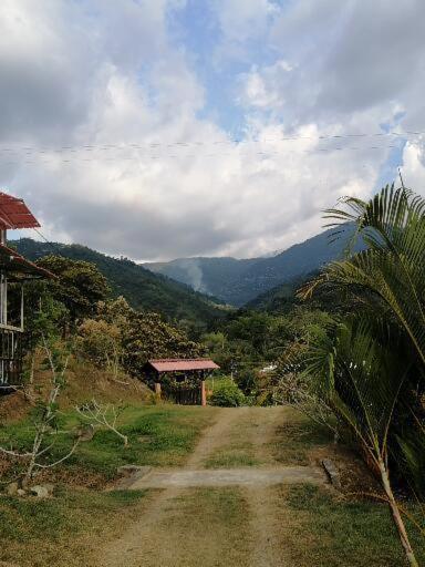 SUMERCÉ Glamping buga - 1