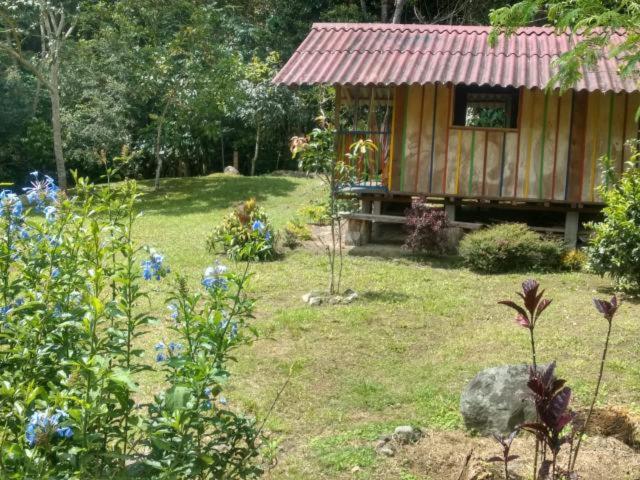 SUMERCÉ Glamping buga - 2