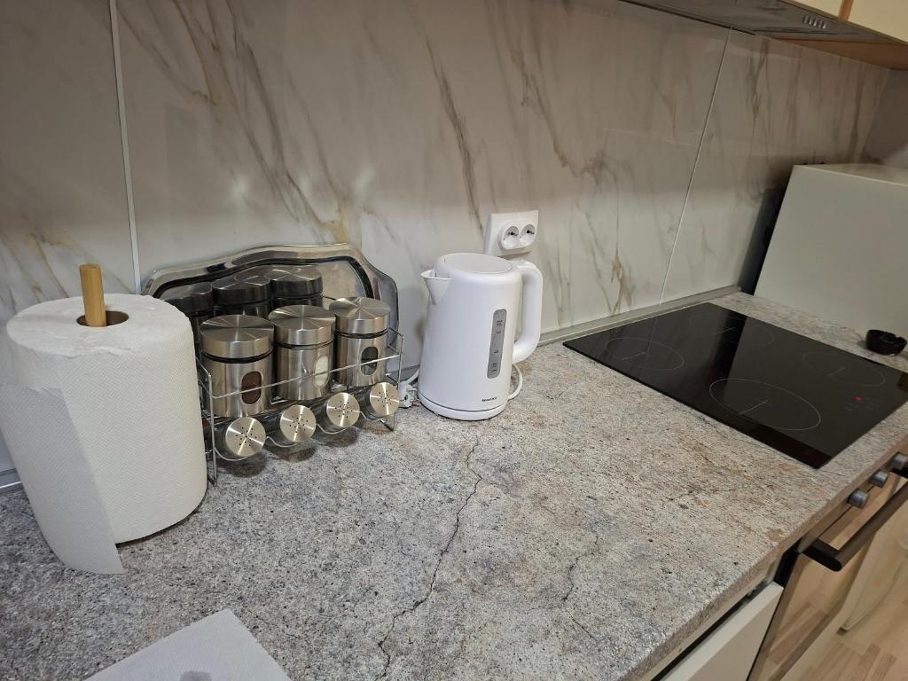 Apartman Pesic Niš - 5