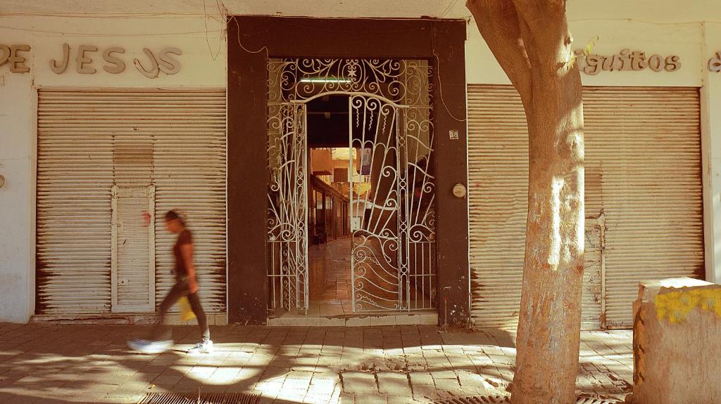 céntrico guadalajara - 2