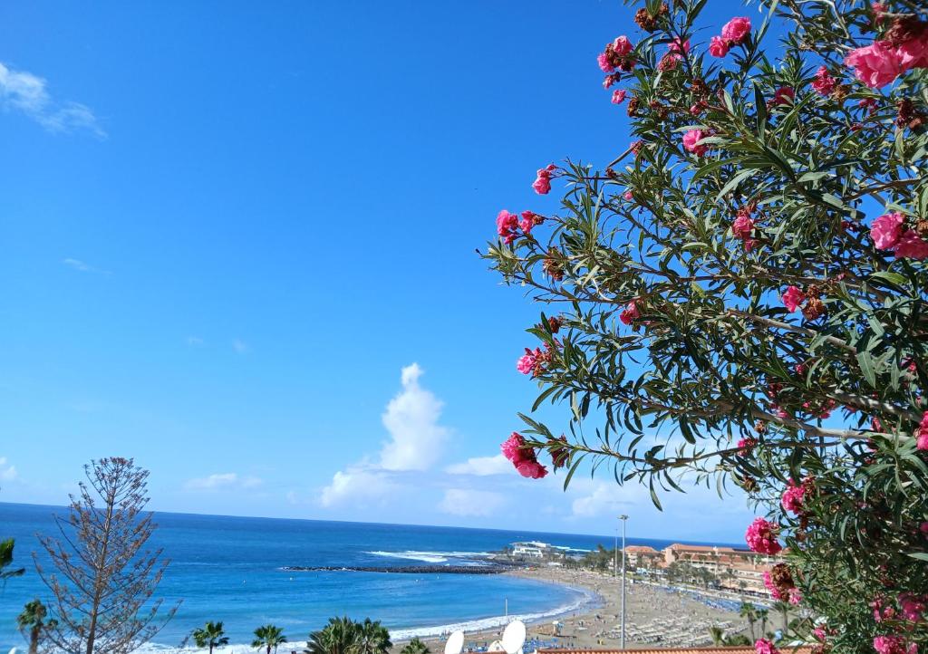 Sol y mar, Los Cristianos, Playa Las Vistas - 3