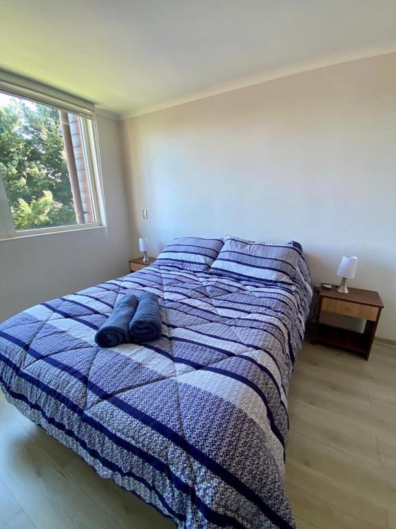 Lindo y acogedor apartamento en condominio - 4