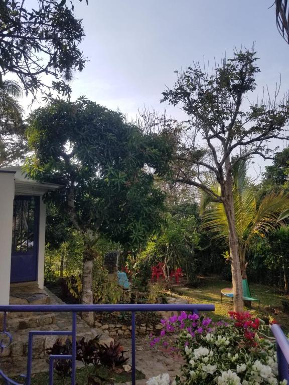 Quynde Ecofina Una casa de campo para el alma - 5