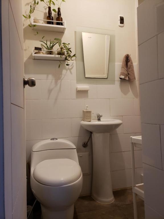 Central, cozy & self-contained petfriendly apartments in the heart of Miraflores - 4
