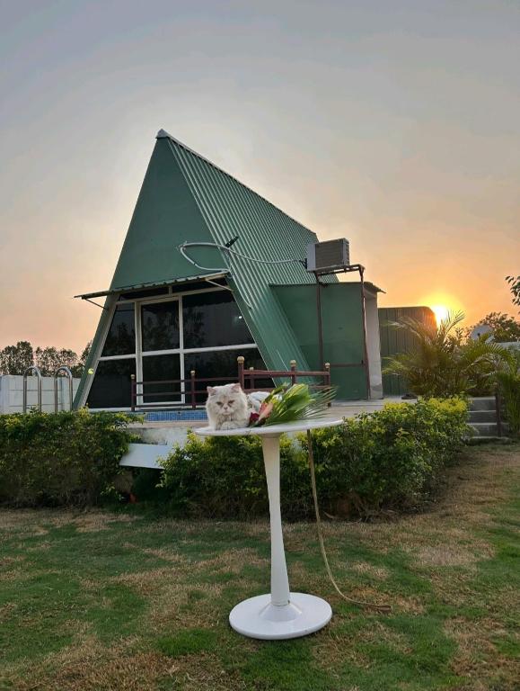 Rk Farm's, Hajdarábád