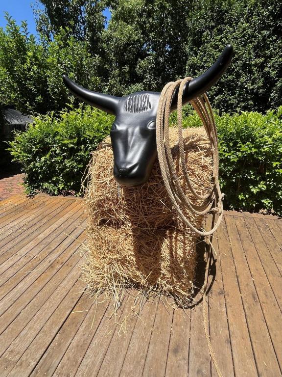 Bluebird Cottage, West Tamworth