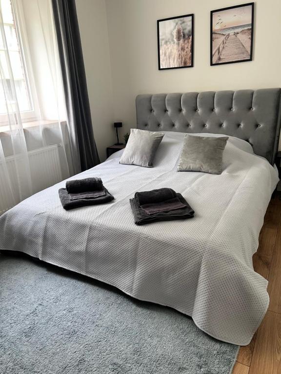 Modern Seaside apartment - Elkonu street residence, Liepāja