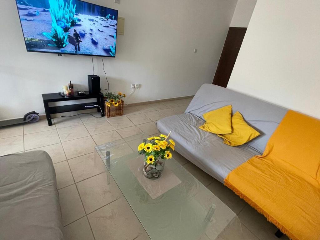 Sunflower Oroklini, Voroklini