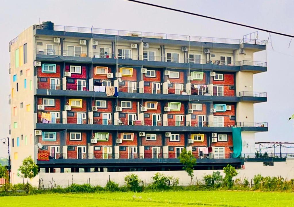 Ảnh 4