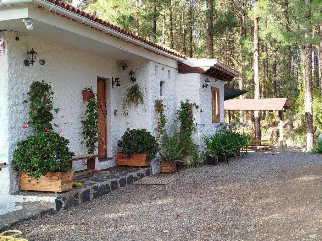 Floral garden house - 2