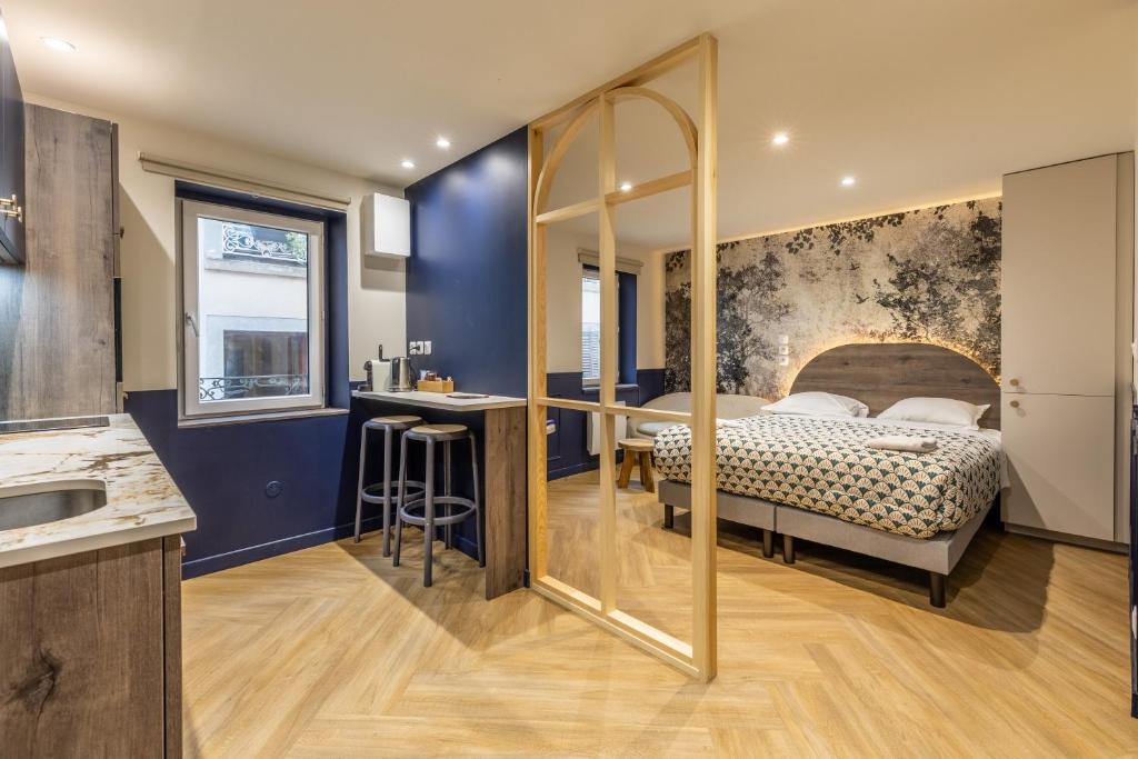 Studio Chic & Spacieux Hyper-Centre Clermont B - 2