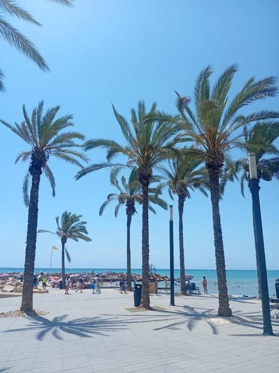 Stay in Torrevieja Comfortable Sea & Sand - 4