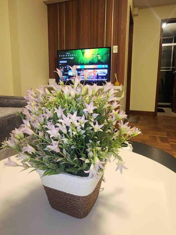 Modern, downtown and sunny! - 5